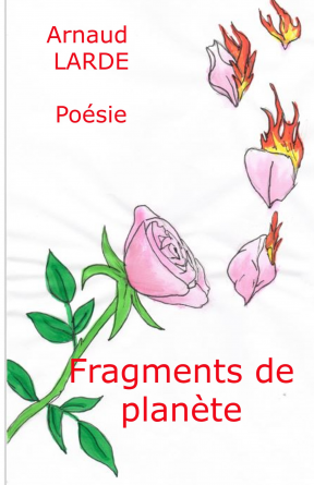 Fragments de planète