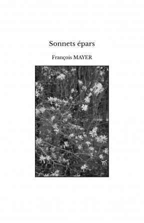 Sonnets épars