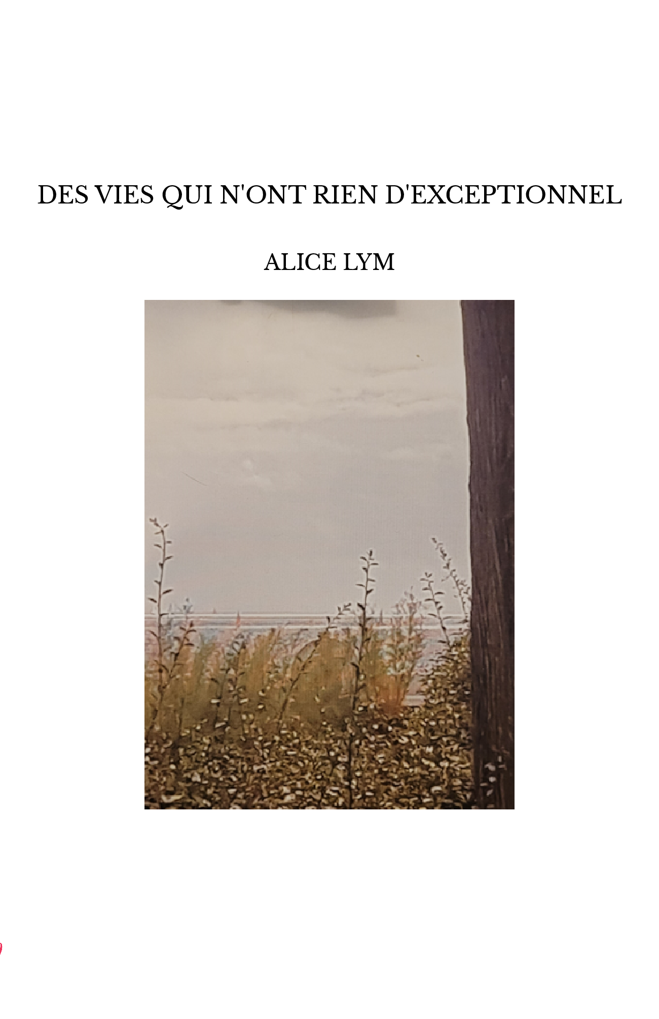 DES VIES QUI N'ONT RIEN D'EXCEPTIONNEL