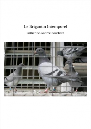 Le Brigantin Intemporel