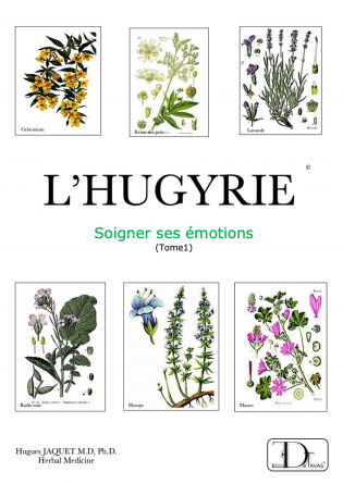 L'Hugyrie