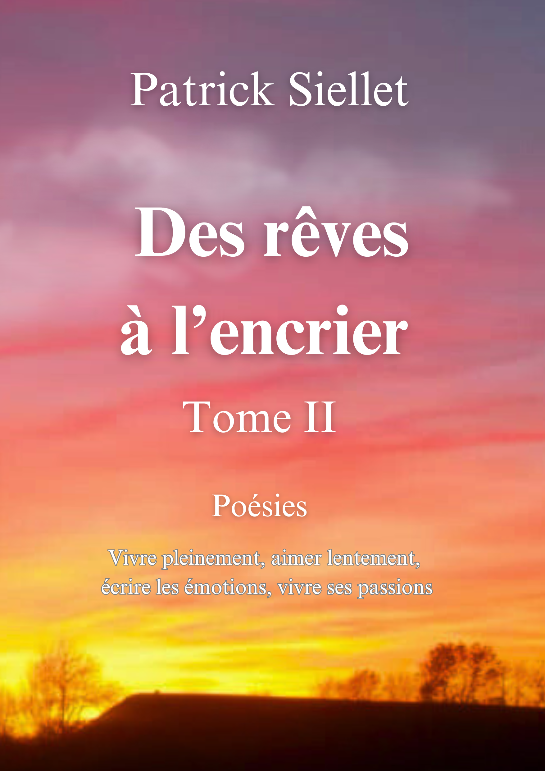 Des rêves à l'encrier tome 2