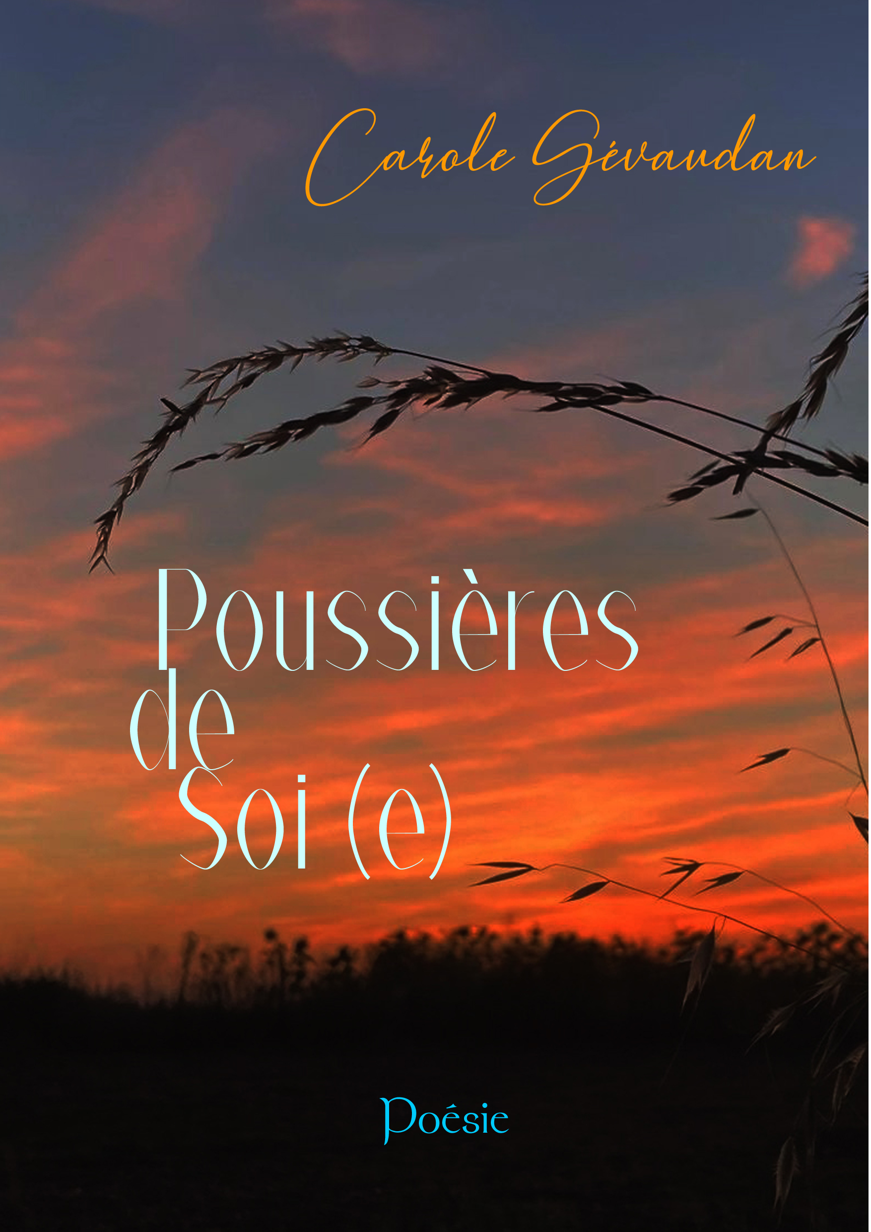 Poussières de soi(e)