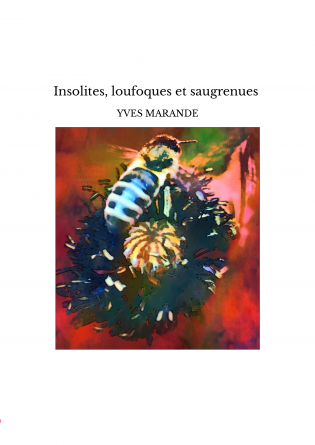 Insolites, loufoques et saugrenues 