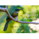 Splendeurs Animales de la Guyane