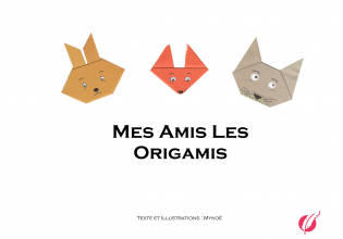 Mes Amis Les Origamis