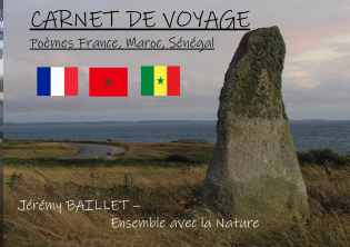 Carnet de voyage, Poèmes 