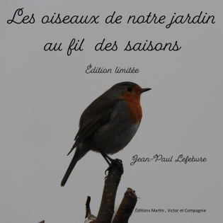 Les oiseaux de notre jardin