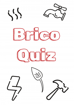 Brico Quiz