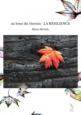 au bout du chemin : LA RESILIENCE