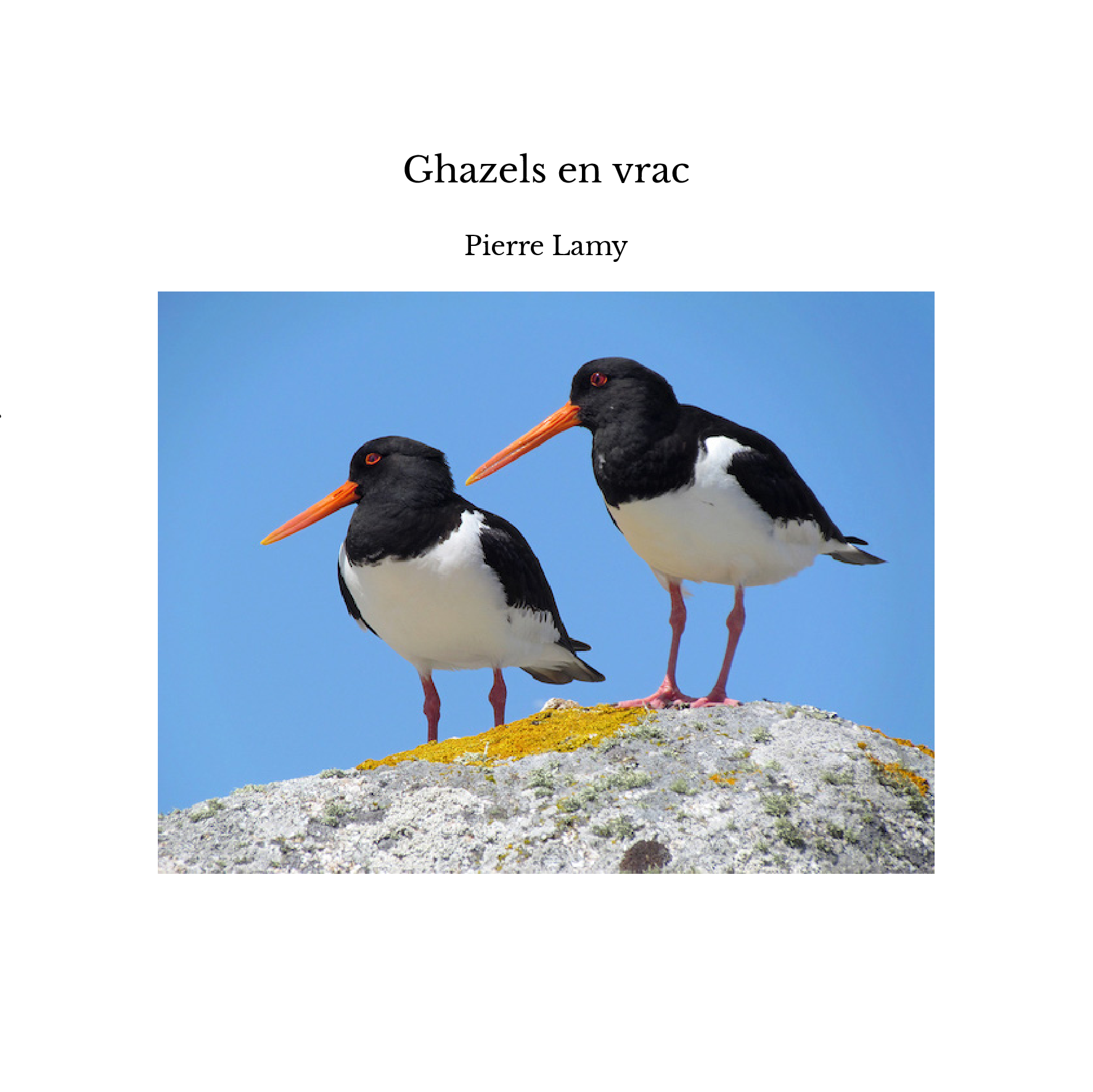Ghazels en vrac