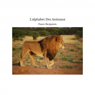 L'alphabet Des Animaux