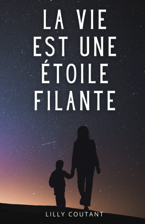 La vie est une étoile filante.