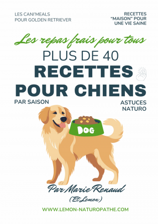 Recettes pour Golden Retriever