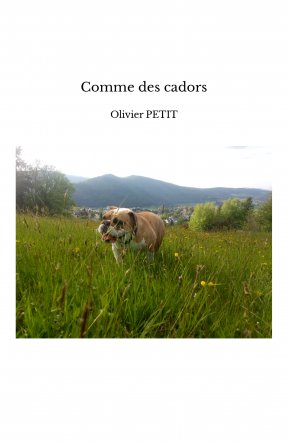 Comme des cadors