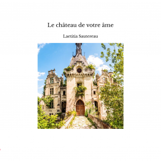 Le château de votre âme