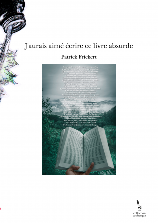 J'aurais aimé écrire ce livre absurde