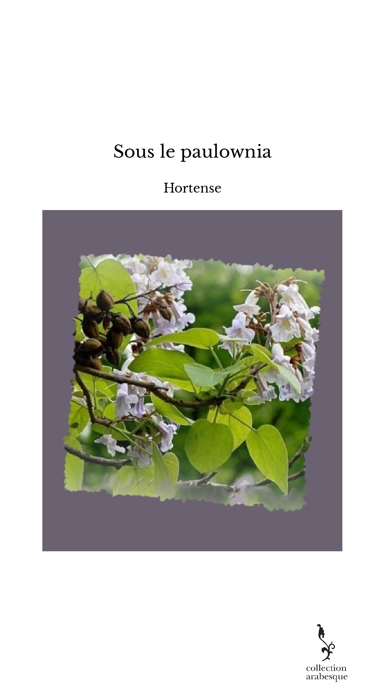 Sous le paulownia