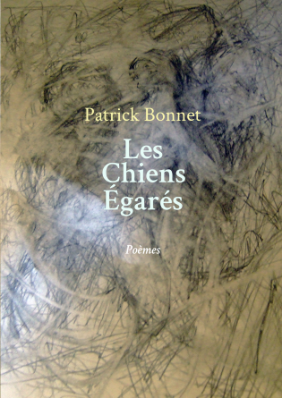 Les Chiens Égarés