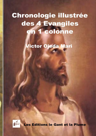 Chronologie illustrée des 4 Evangiles 