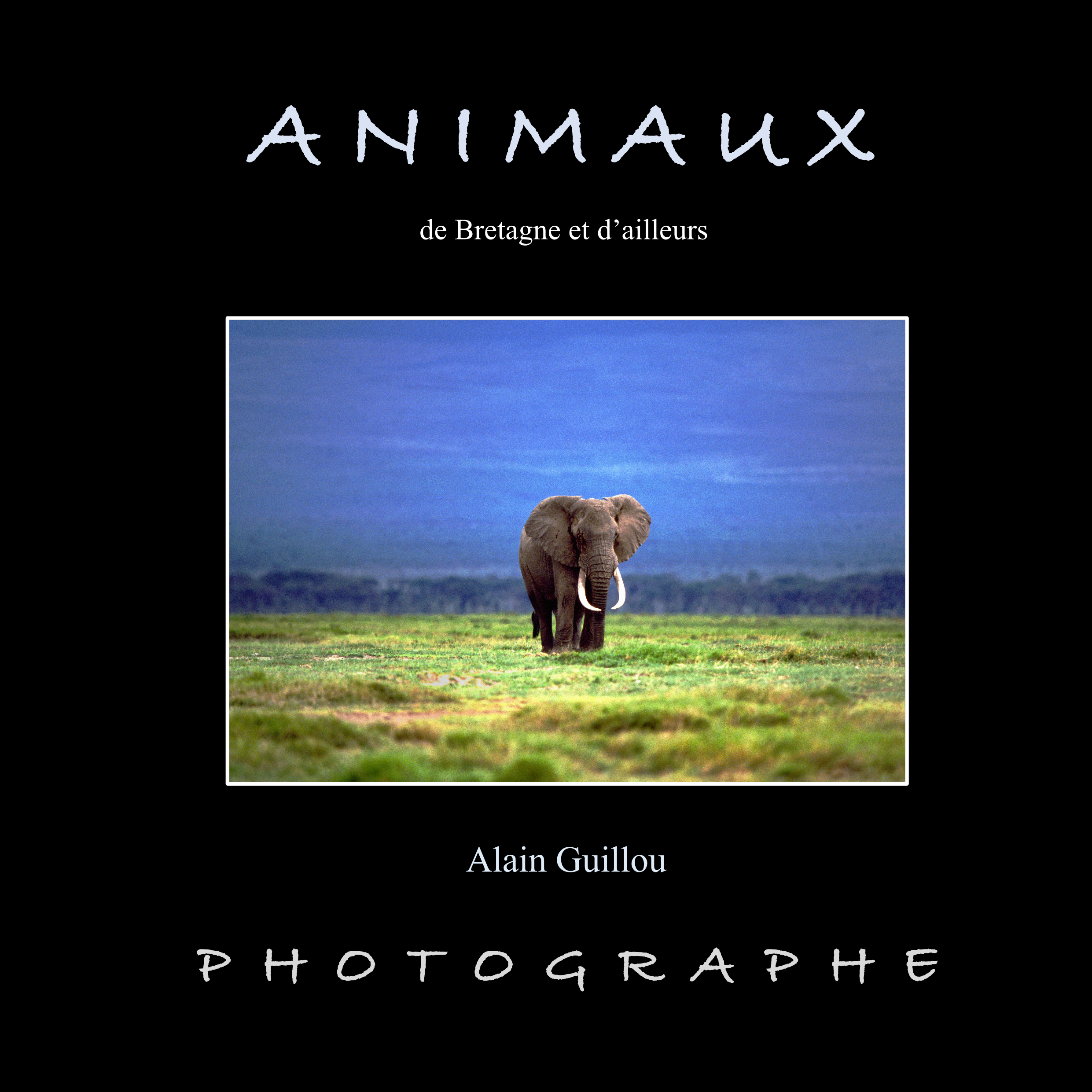 ANIMAUX de Bretagne et d'ailleurs