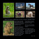ANIMAUX de Bretagne et d'ailleurs