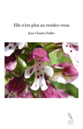 Elle n'est plus au rendez-vous