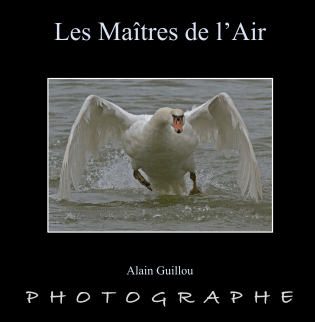 LES MAITRES DE L'AIR