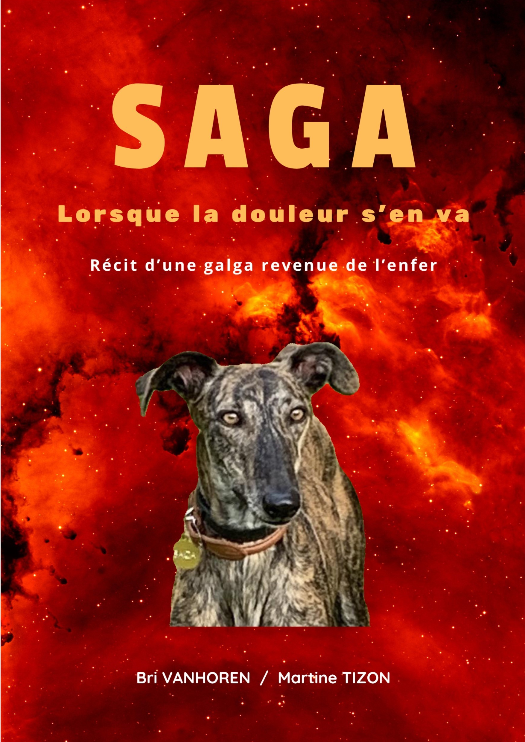 SAGA - Lorsque la douleur s'en va