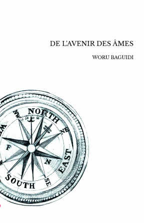 DE L'AVENIR DES ÂMES