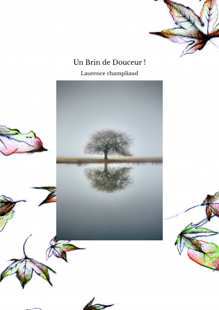 Un Brin de Douceur !