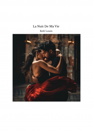 La Nuit De Ma Vie 