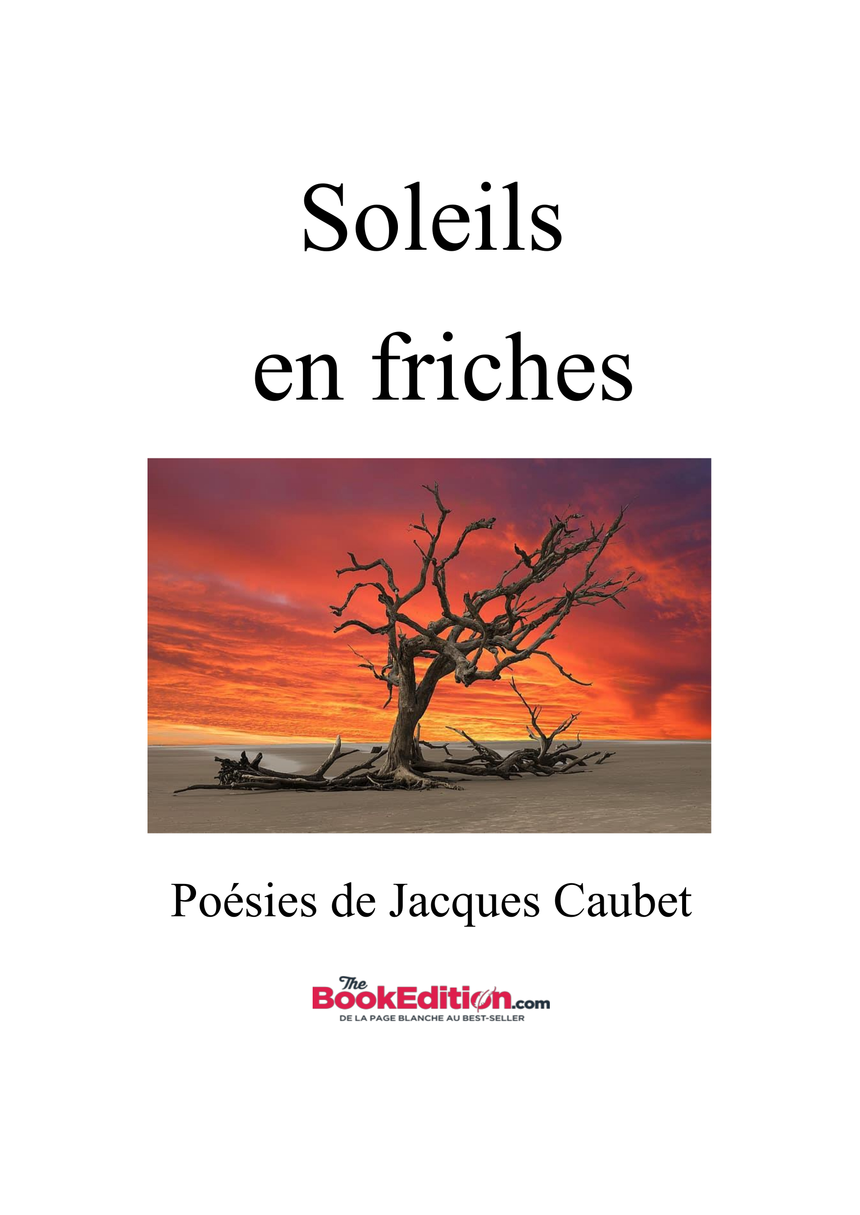 Soleils en friches