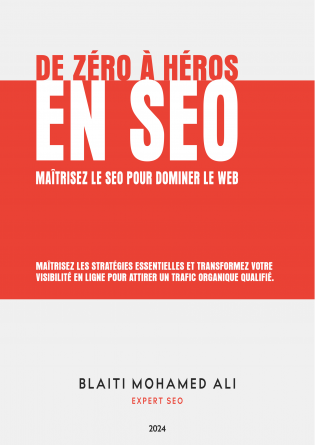 De Zéro à Héros En SEO
