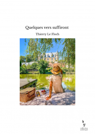 Quelques vers suffiront 