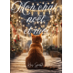 Mon chat, noël et moi