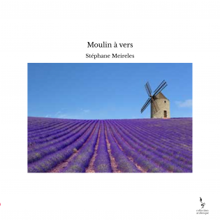 Moulin à vers