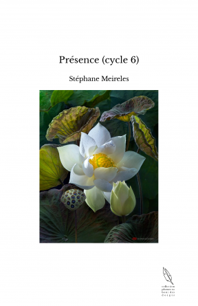Présence (cycle 6)