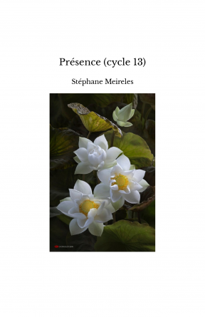 Présence (cycle 13)