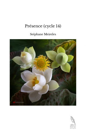 Présence (cycle 14)