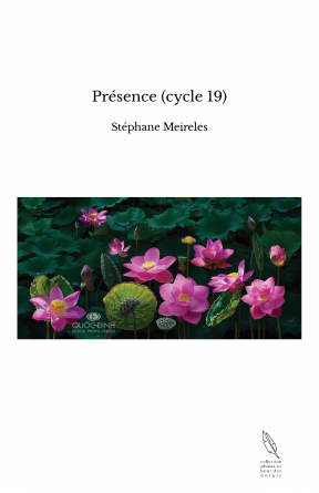 Présence (cycle 19)