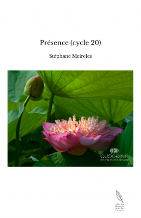 Présence (cycle 20)