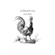 La Paix par le coq
