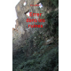 Errer dans les ruines