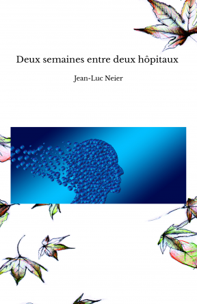 Deux semaines entre deux hôpitaux 