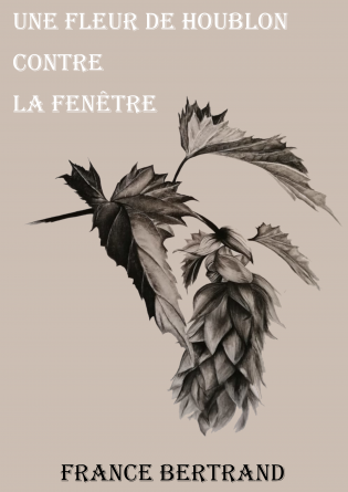 Une fleur de houblon contre la fenêtre