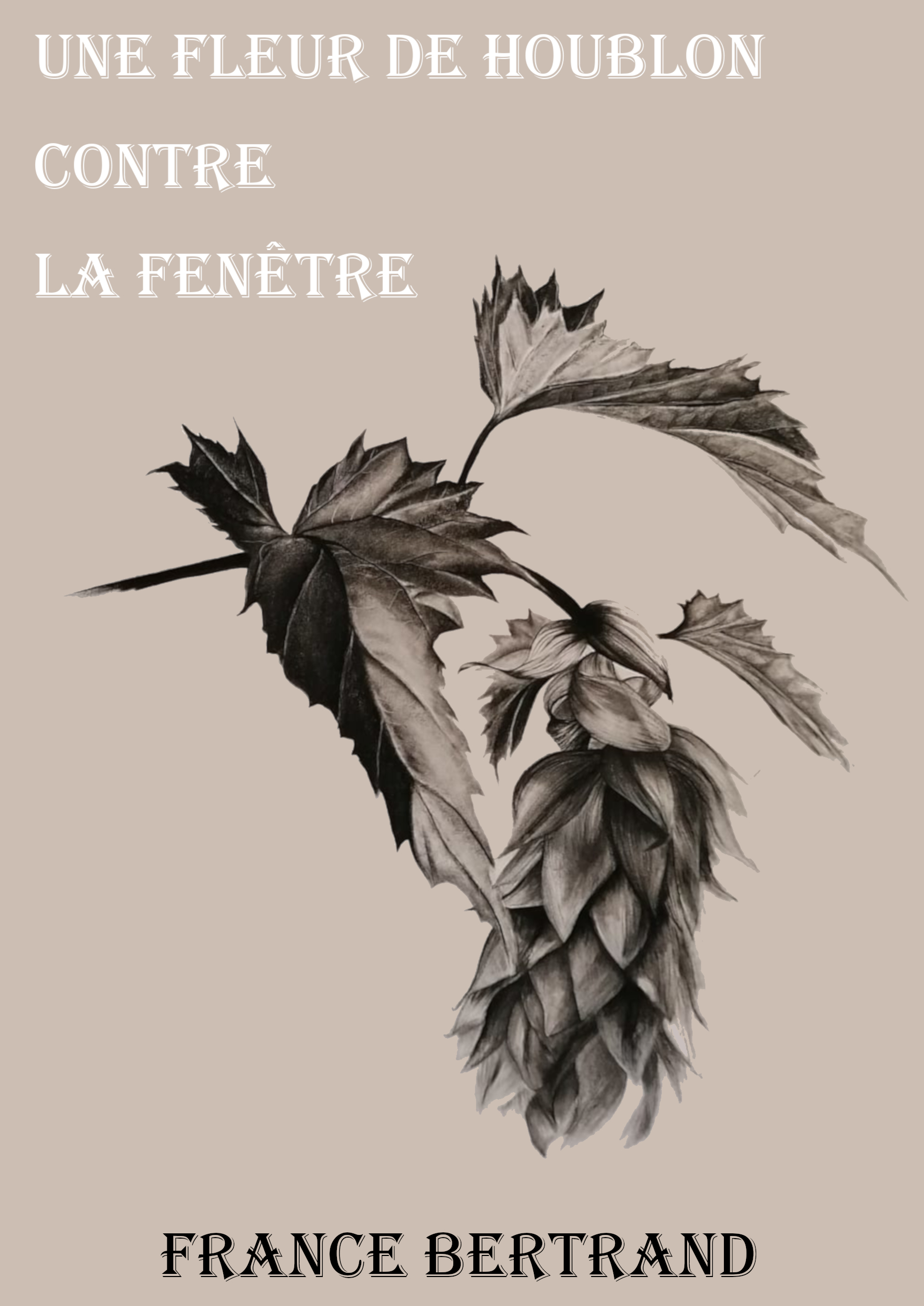 Une fleur de houblon contre la fenêtre