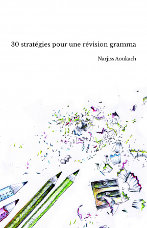 30 stratégies pour une révision gramma