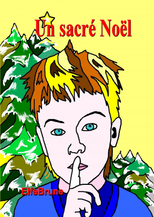 Un sacré Noël