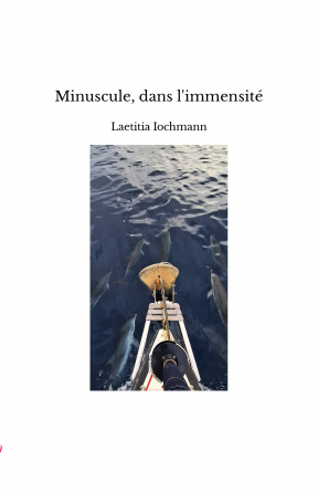 Minuscule, dans l'immensité